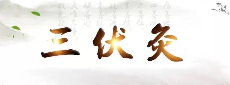 艾灸冬病夏治，春夏養(yǎng)陽，三伏灸果真如此神奇？