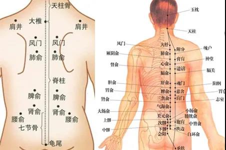 艾灸養肝疏通經絡應該灸哪里？