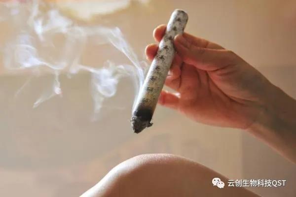 艾灸能同時調理好幾種婦科問題，簡單有奇效，現在開始灸還不晚！