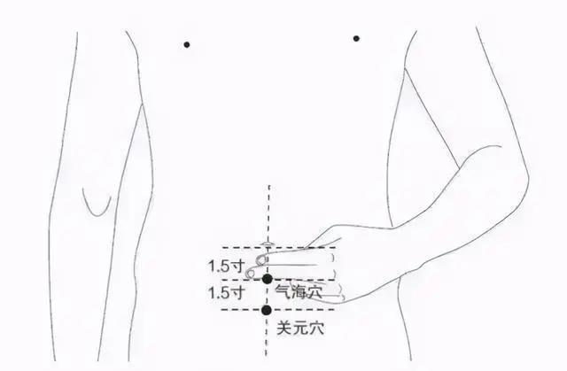 四肢致病三角區(qū)、人體滋補三角區(qū)，養(yǎng)好了，讓百病難擾