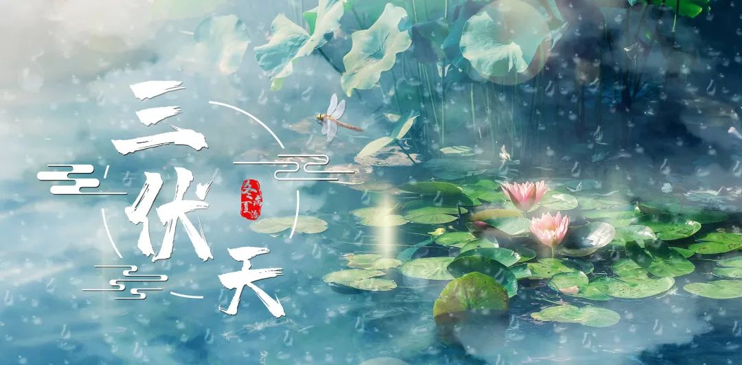 伏“邪”要重視，錯過留病根！艾草三伏貼助力“冬病夏治 春夏養陽”！
