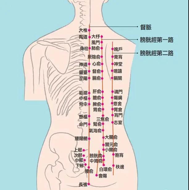 冷熱痛麻酸腫，這是經(jīng)絡(luò)信號(hào)在傳遞身體隱患