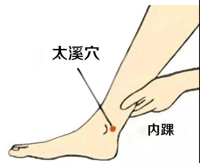 護腎養(yǎng)腎？這六大穴位就夠了！