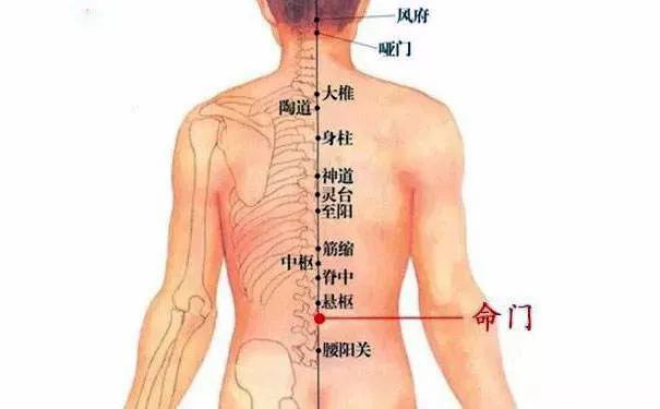 命門火衰影響人體生老病衰？命門穴有何神奇，竟決定生命的元陽(yáng)盛衰？