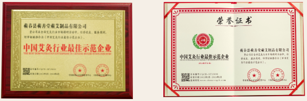 熱烈祝賀蘄善堂被評選為“中國艾灸行業最佳示范企業”“中國馳名品牌”！