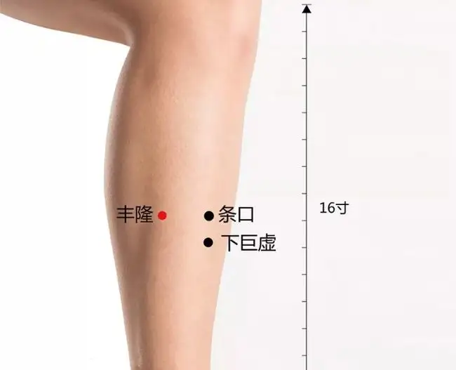 身上的4個祛濕開關，灸出濕毒還身體舒暢！