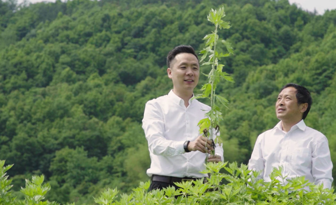 聞艾識端午，巧手納香囊——蘄善堂端午節文化傳承活動誠邀您的參與！
